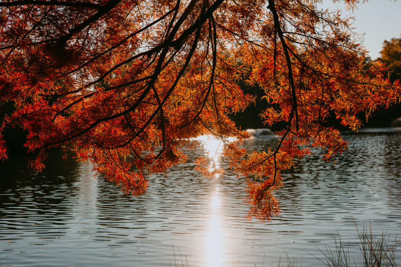 jezioro w jesienny poranek