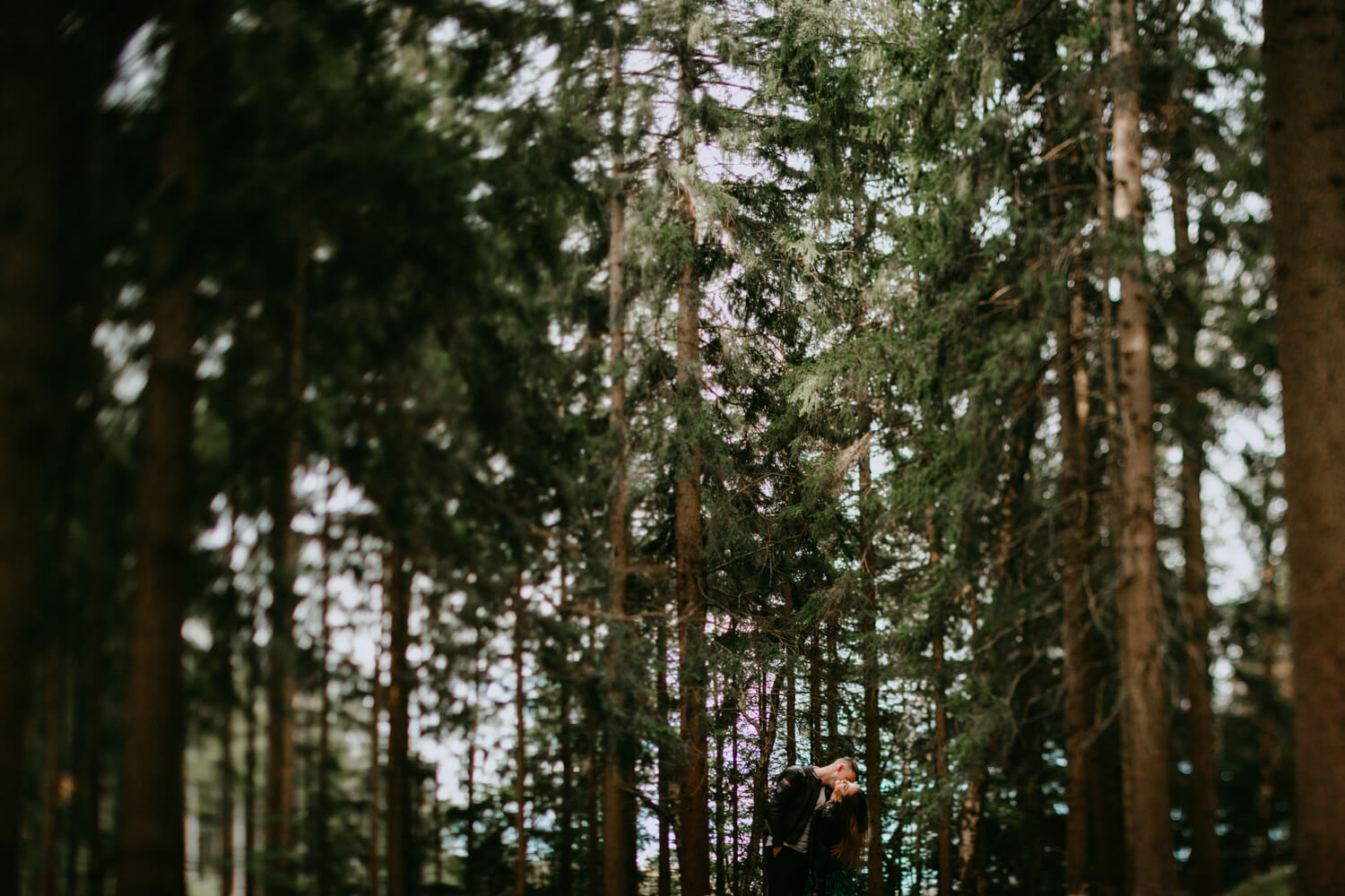 przytulająca się para w lesie